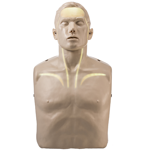 Brayden Advanced Adult CPR Manikin with white illumination lights which indicate that CPR being performed is adequate enough to facilitate effective blood flow around the patient.